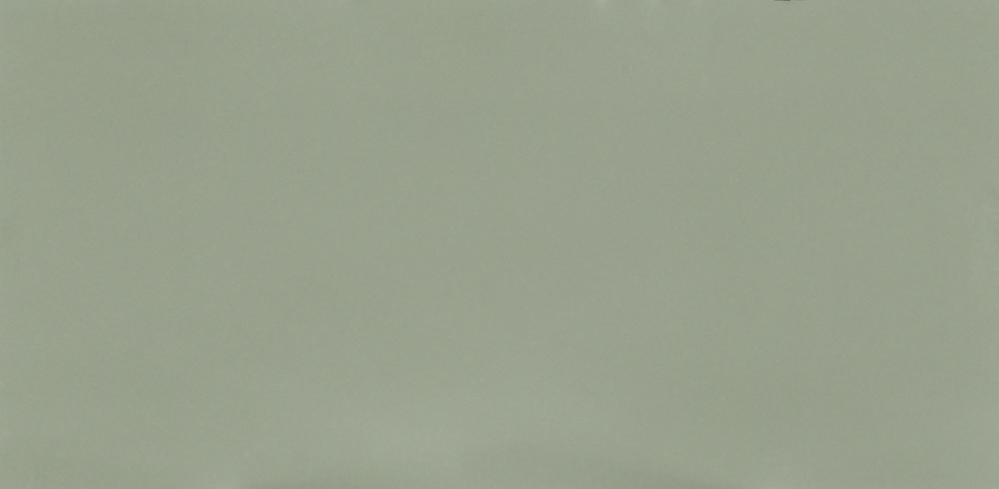 Posidonia Green - Silestone Quartz