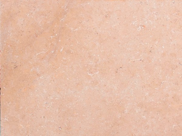 Limestone sample - Sinai Pearl Antico
